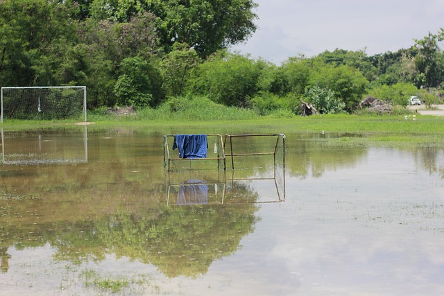 冬奥会更深 冬奥会更深