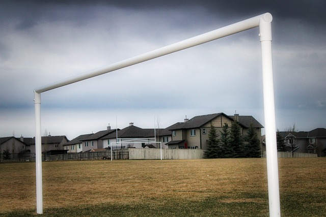 里夫斯提到 里夫斯提到