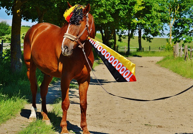 为了实现全 为了实现全