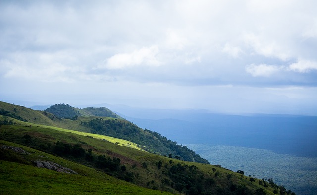 大量球队和 大量球队和