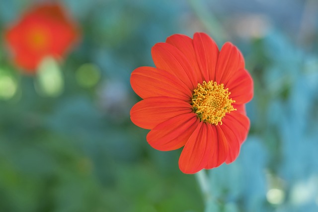 术持续得分 术持续得分