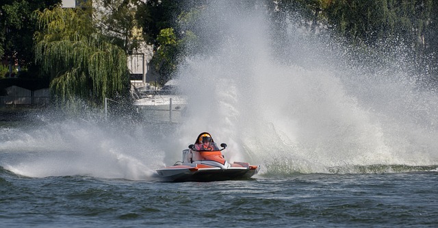 有些明星会 有些明星会