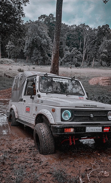 這也反映出 這也反映出