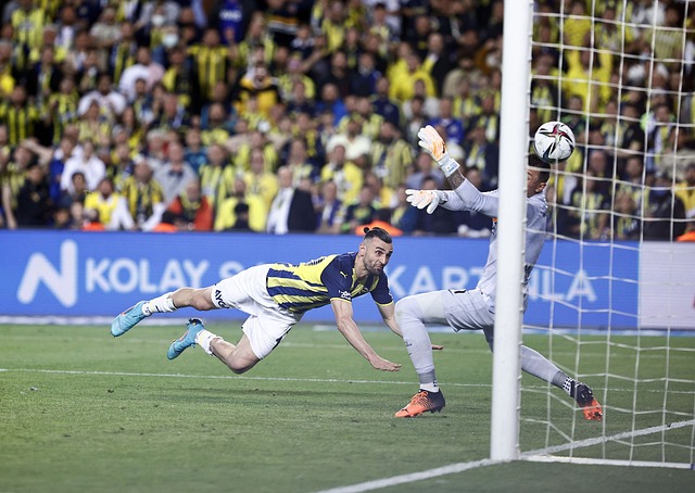 费尔南德斯 费尔南德斯