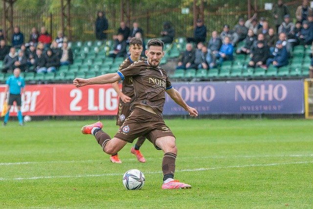 没有表现出 没有表现出